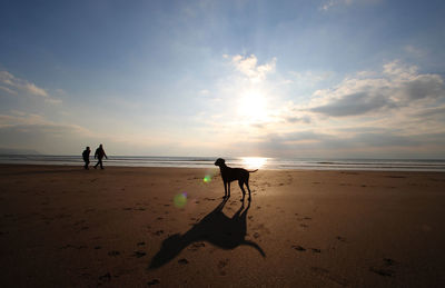 Scenic view of beach against sky during sunset
