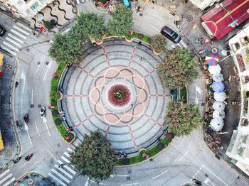 High angle view of trees in building