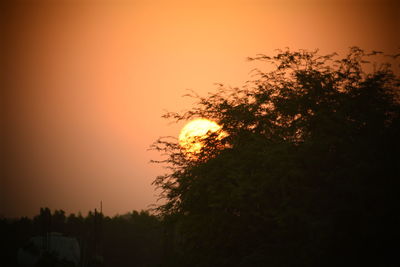 Silhouette trees against sky during sunset