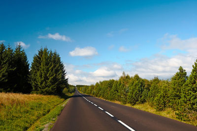 Road amidst trees and plants against sky