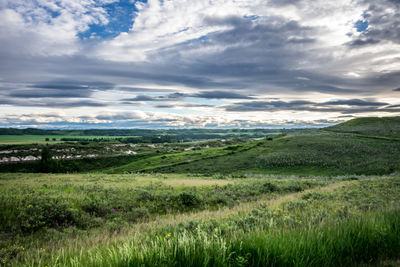 Scenic view of field against sky