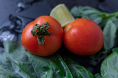 High angle view of tomatoes with kale and lemon on wet table