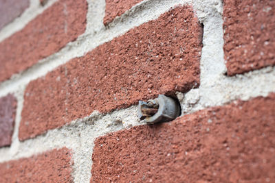 Close-up of concrete, brick wall