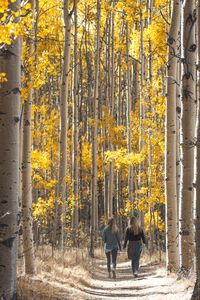 Rear view of people walking in forest during autumn