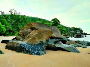 Close-up of rocks on land against sky