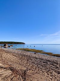 Scenic view of beach against blue sky