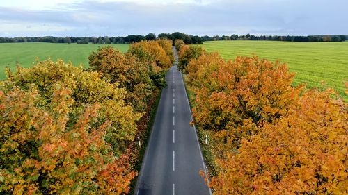 Scenic view of field against sky during autumn