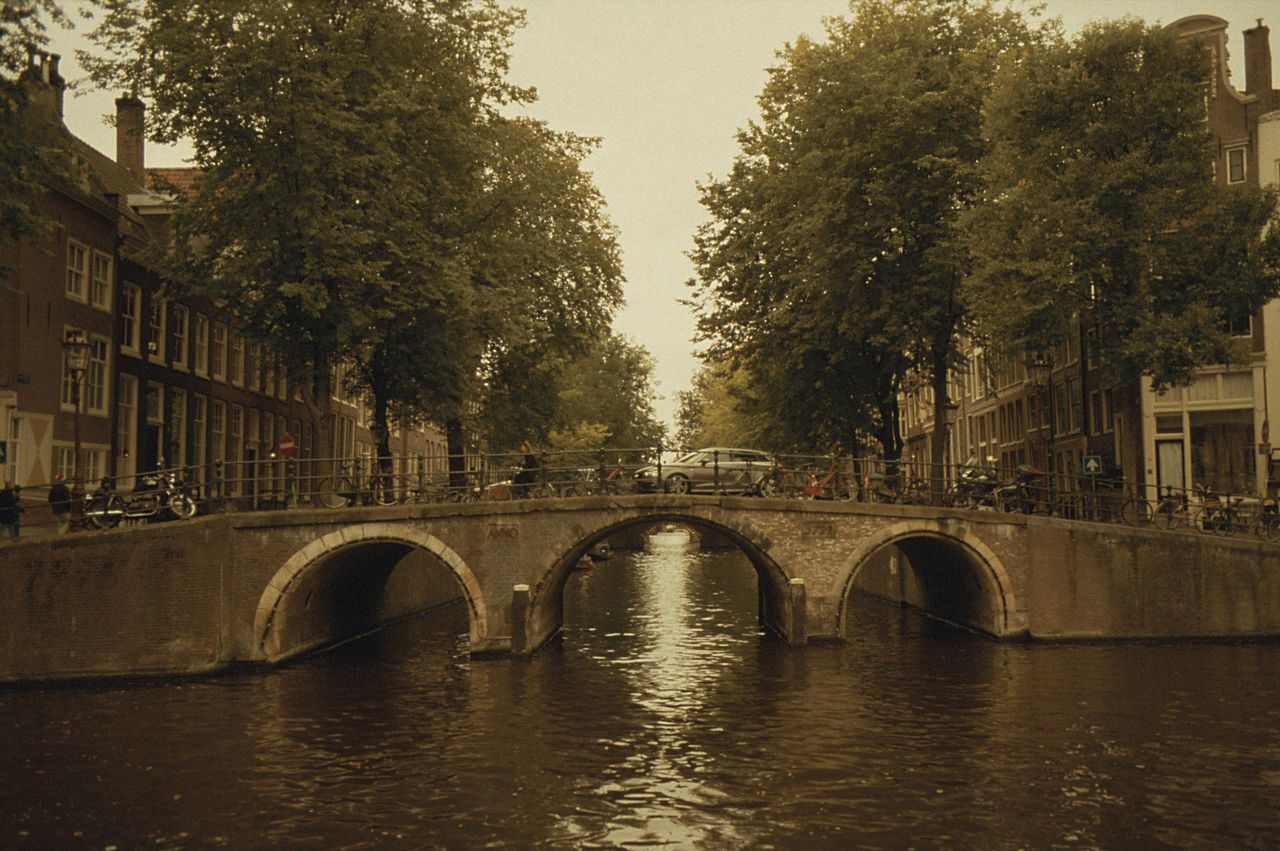 bridge - man made structure, tree, architecture, travel destinations, reflection, water, connection, city, outdoors, arch, built structure, no people, nature, day, sky