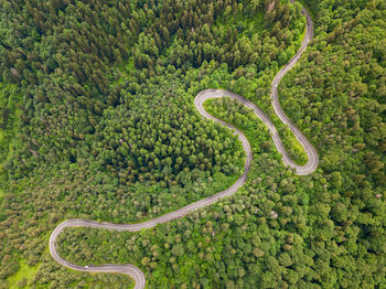 High angle view of road amidst trees in forest