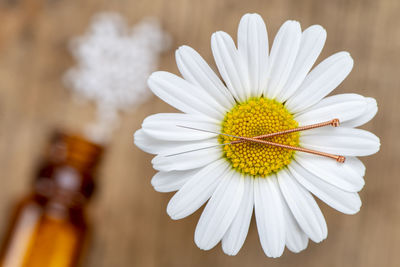 Alternative medicine with homeopathy and acupuncture