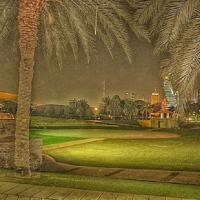 architecture, built structure, illuminated, building exterior, night, city, tree, lighting equipment, sky, modern, outdoors, grass, street light, green color, no people, cityscape, clear sky, building, park - man made space, light - natural phenomenon