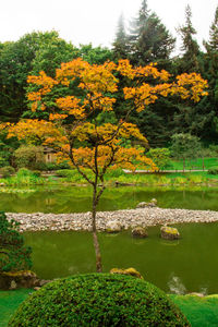 Scenic view of lake by trees