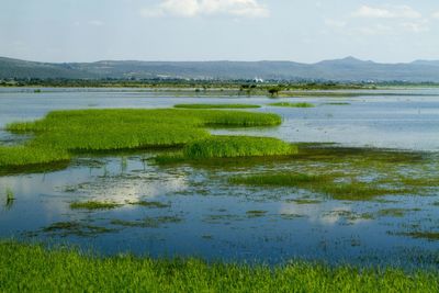 Scenic view of lake against sky