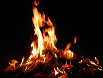 Close-up of fire at night