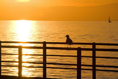 Silhouette of bird on rail against sky during sunset over lake