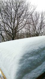 Bare trees on snow covered landscape