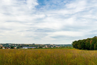 Scenic view of field against sky