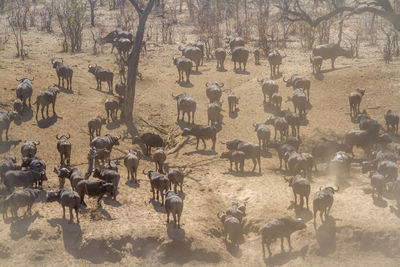 Group of people in the field