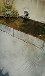 Reflection of water in puddle