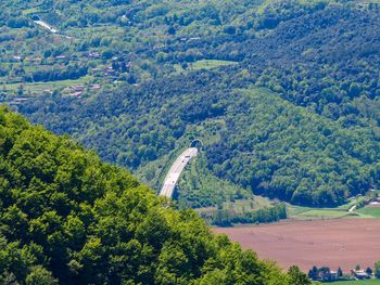 High angle view of road amidst trees in forest