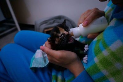 Close-up of hands holding cat at home