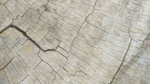 Full frame shot of cracked wooden floor