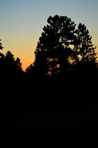 Low angle view of silhouette trees against clear sky