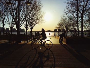 Silhouette of trees at sunset