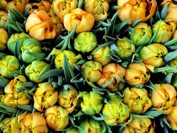 Full frame shot of vegetables