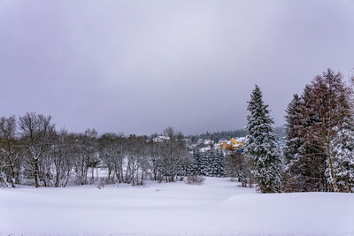 Trees on snow covered field against sky