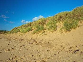 Scenic view of beach against blue sky