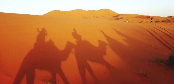 Group of people on sand dune