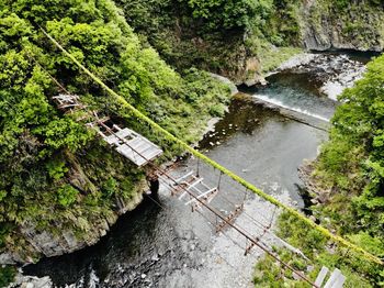 High angle view of river amidst trees in forest