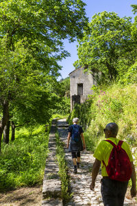 Rear view of people walking on footpath amidst plants