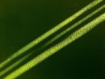 Sunlight falling on green wall