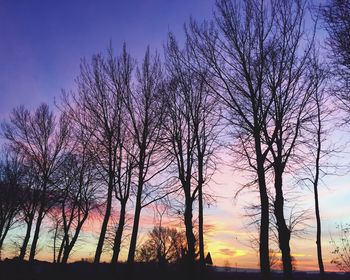 Silhouette bare trees on field against sky during sunset