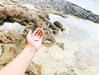 High angle view of human hand on land