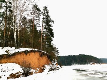 Trees on snow covered field against sky
