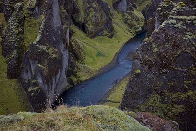 Scenic view of stream amidst trees and rocks