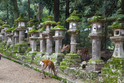 View of a temple