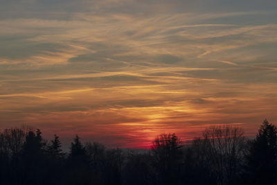 Silhouette trees against sky during sunset