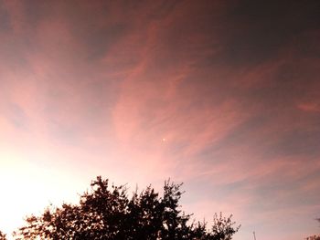 Low angle view of silhouette tree against sky during sunset