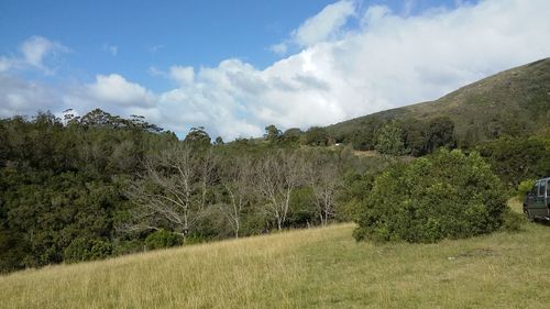 Panoramic shot of trees on field against sky