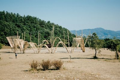 Trees on field against clear sky