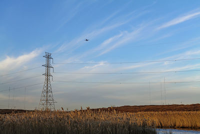 Low angle view of an airplane against the blue and cloudy sky, electric pylons in marshland