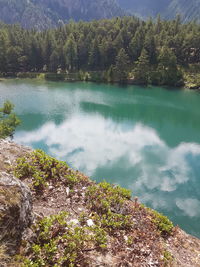 High angle view of lake by trees in forest