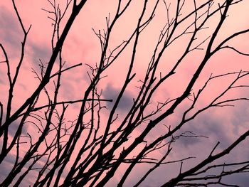 Low angle view of silhouette bare tree against sky at sunset