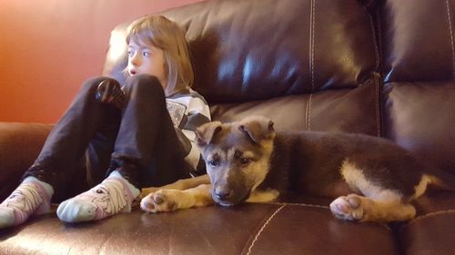 Portrait of young woman with dog sitting at home