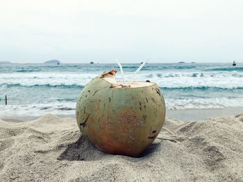 View of fruit on sand at beach against sky