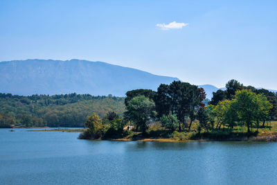 Scenic view of lake by trees against sky